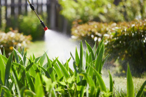 24/7 Emergency Wasp Removal experts in North Wildwood, NJ
